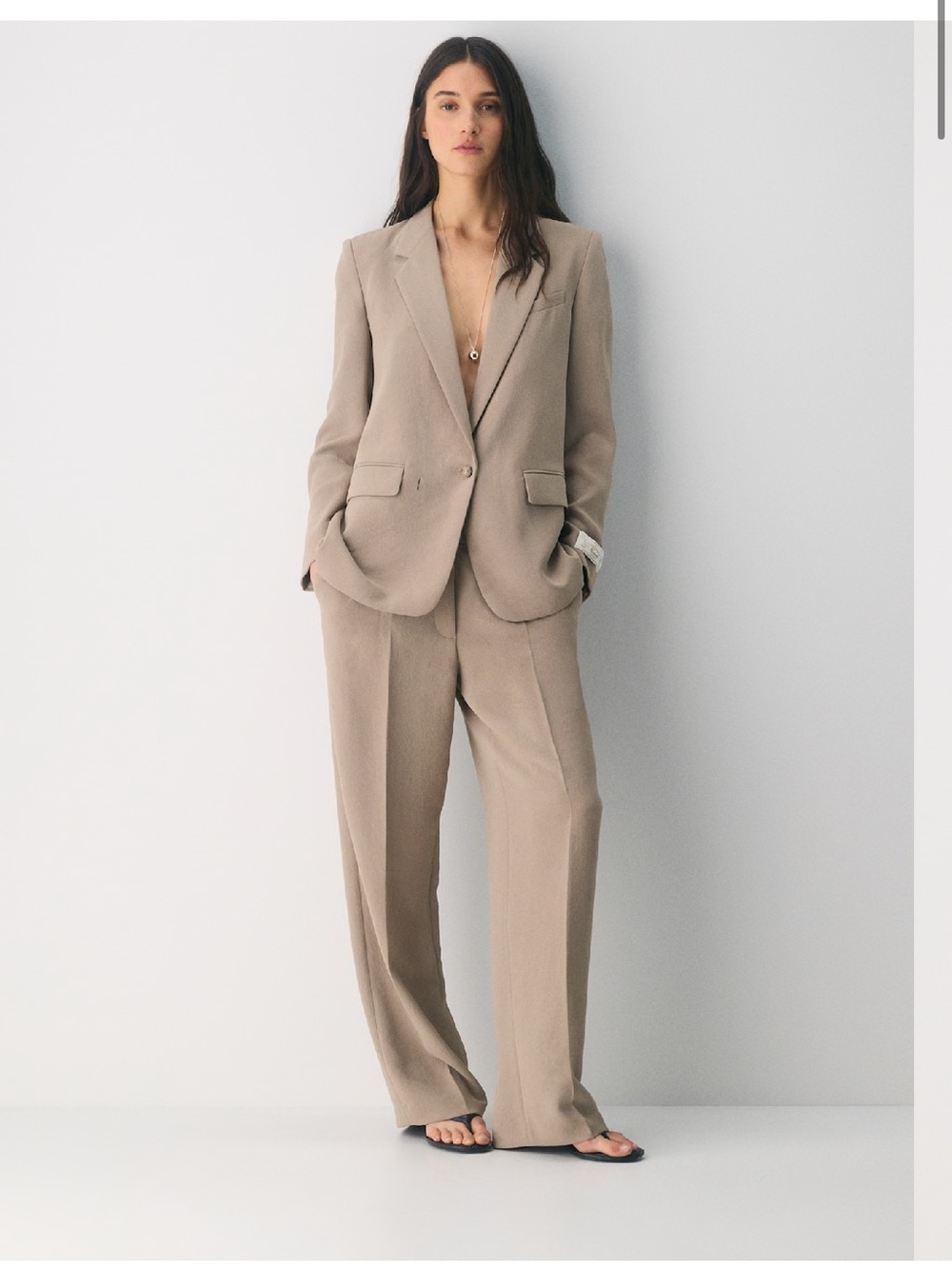 Aritzia - Generation Blazer and Effortless Pants in Crepette in Nomad Taupe - Picture 1 of 12